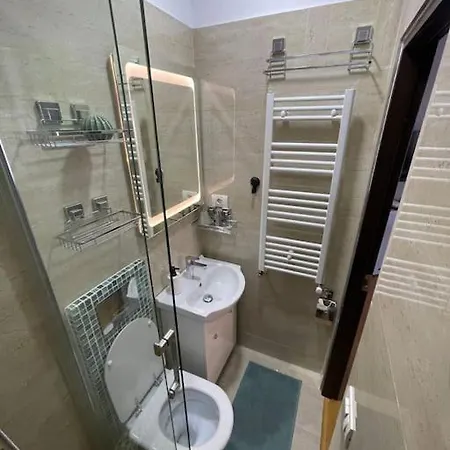 Victoriei Light Apartment *