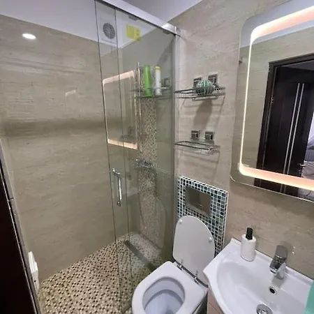 Victoriei Light Apartment