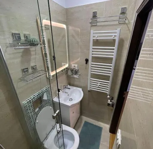 Victoriei Light Appartement *